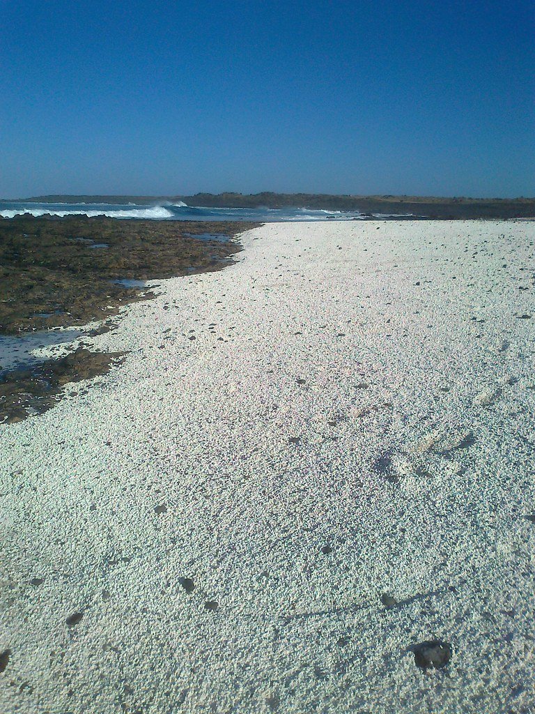 Playa de palomitas en Fuerteventura