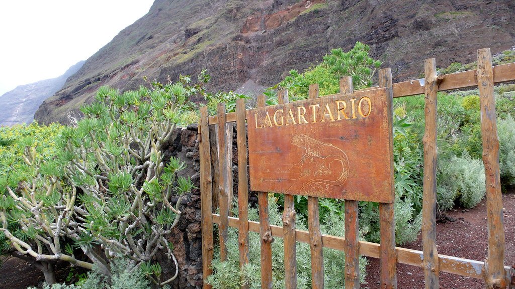 Lagartario y Ecomuseo Guinea, El Hierro