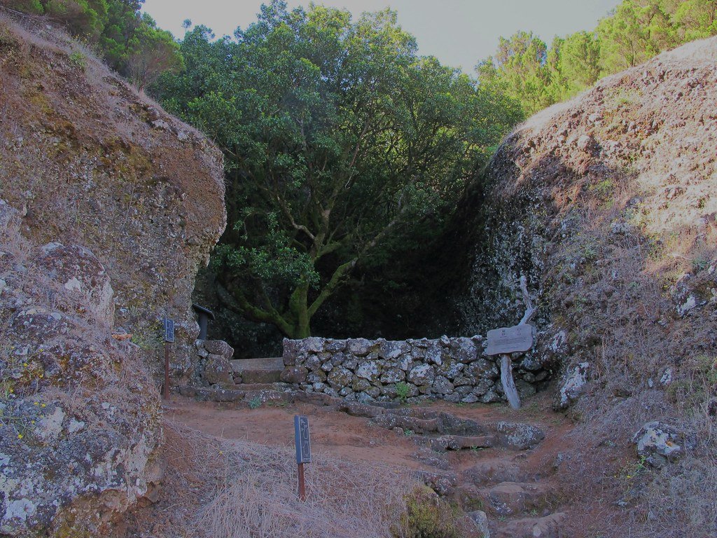 Árbol Garoé, El Hierro