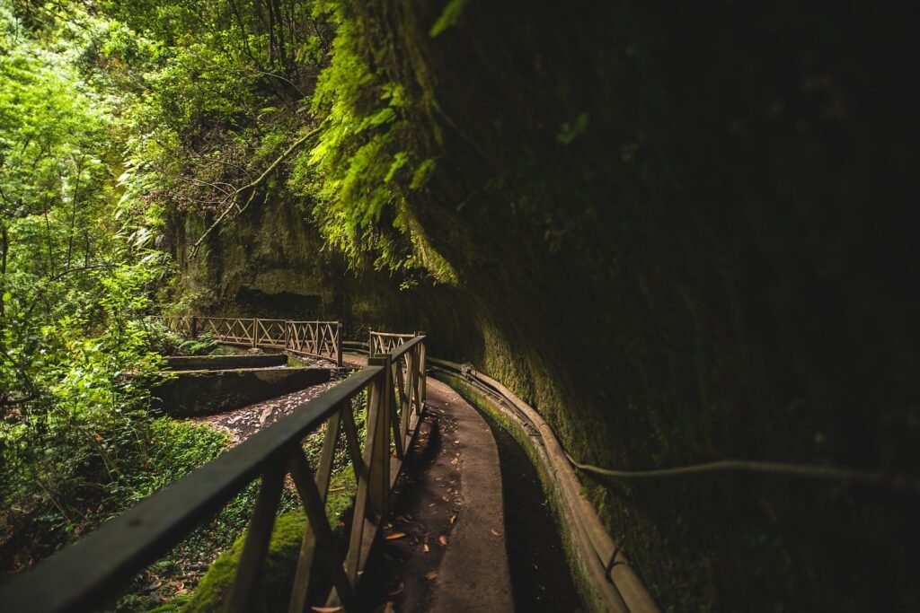 Ruta de Senderismo en la isla de La Palma