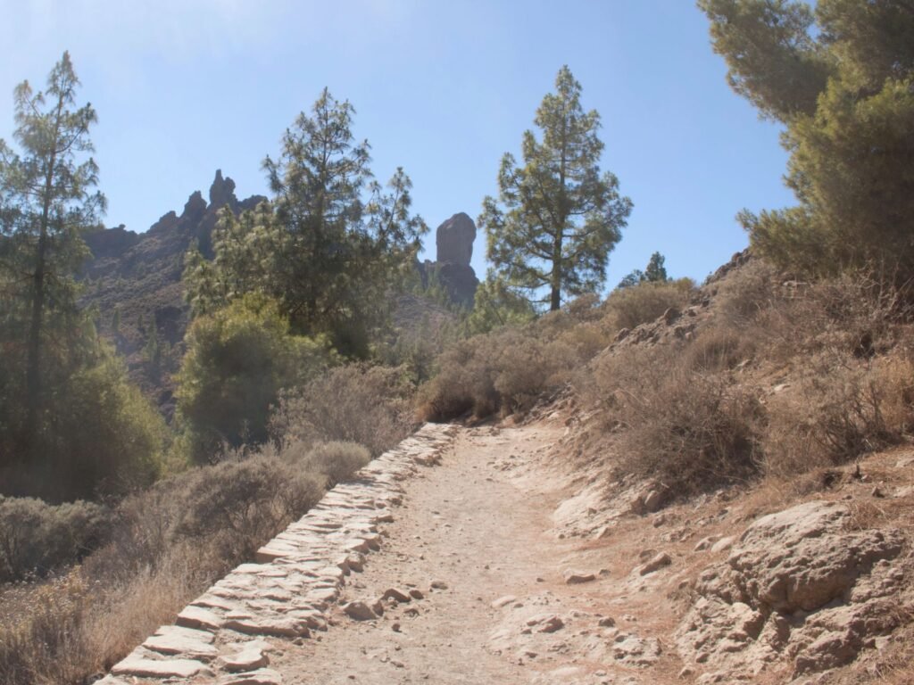 Camino al Roque Nublo