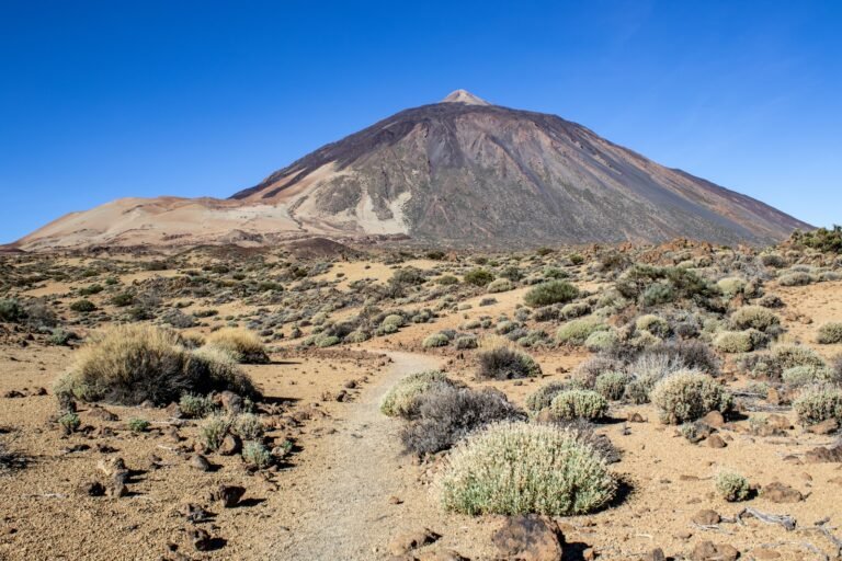 Parque Nacional del Teide