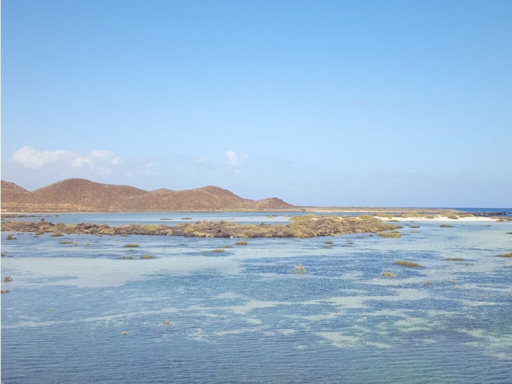 Las Lagunitas, Isla de Lobos