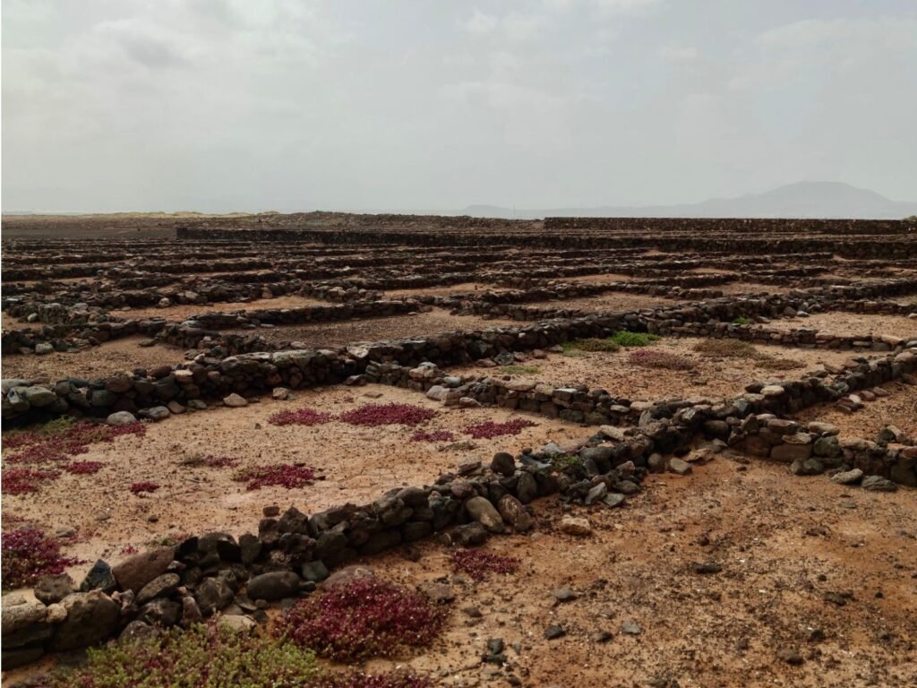 Las salinas del Marrajo