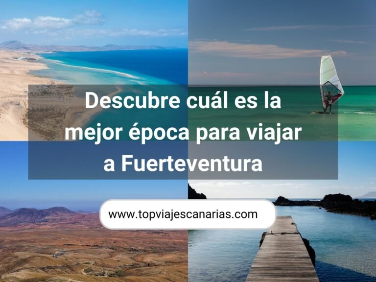 Descubre la mejor época para viajar a Fuerteventura