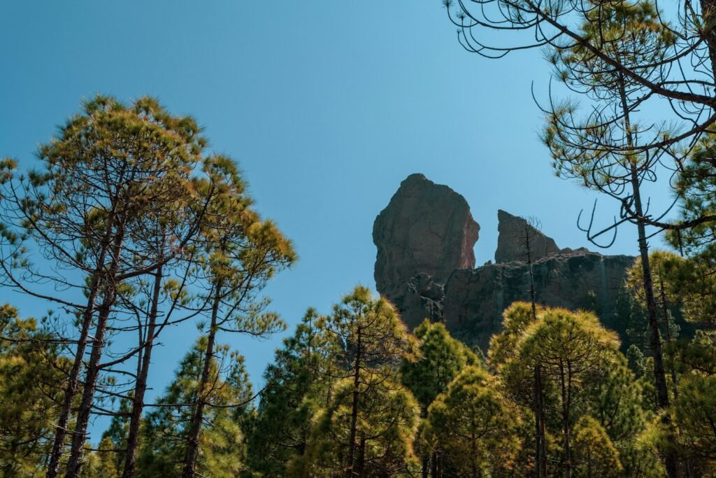 Roque Nublo