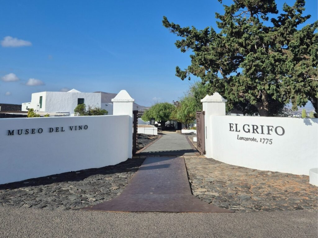 Museo del vino en la bodega de El Grifo