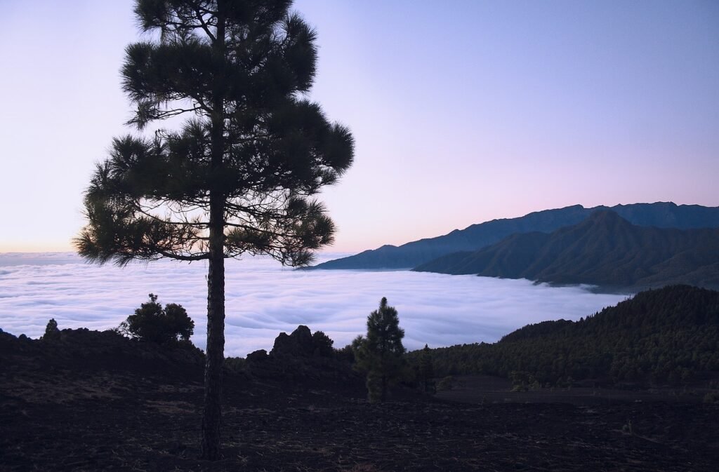 Mar de nubes en La Palma